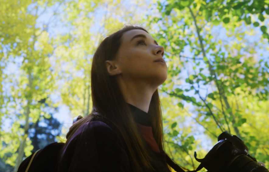 contemplative student amid trees